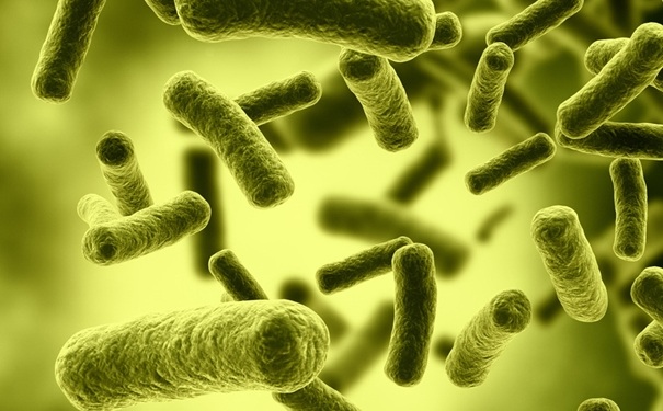 H7N9是什么病毒？H7N9是什么?。?1)