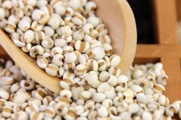 回南天吃哪些食物可以祛濕？回南天有哪些祛濕的食療方？(1)