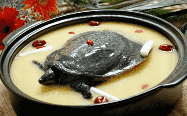 男性喝甲魚(yú)湯有什么好處？甲魚(yú)湯有哪些做法？(1)