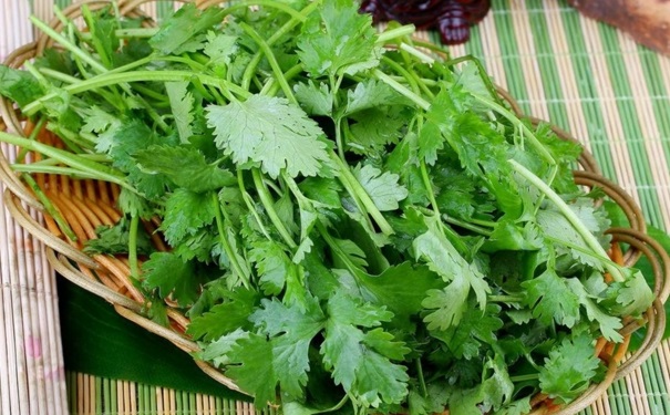 香菜的營養(yǎng)有哪些功效？吃香菜要注意什么事項(xiàng)？(1)