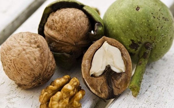 吃核桃對(duì)身體有哪些好處？食用核桃需要注意哪些方面？(1)