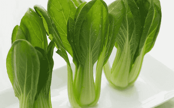 春季應(yīng)該多吃那些蔬菜？春季保健養(yǎng)生的方法有哪些？(1)