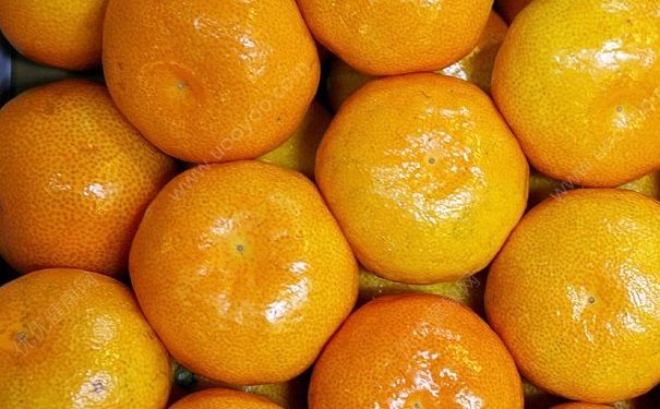 秋季吃橘子容易上火怎么辦？怎樣吃橘子不會(huì)上火？(1)