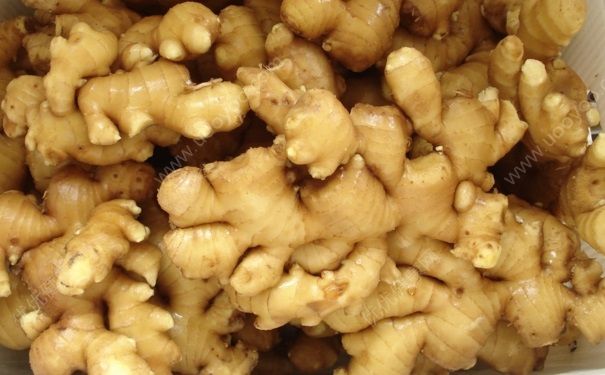 秋天吃生姜好嗎？秋天吃生姜要注意什么？(3)