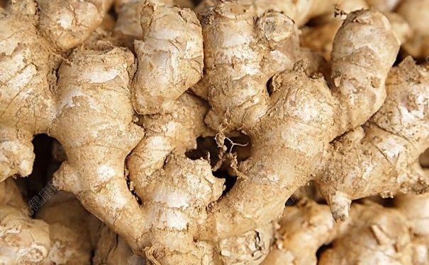秋天吃生姜好嗎？秋天吃生姜要注意什么？(4)