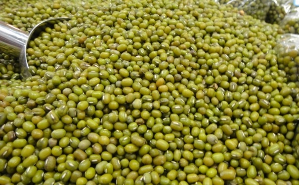 清熱利濕的食物有哪些？吃什么食物清熱利濕效果好？(1)