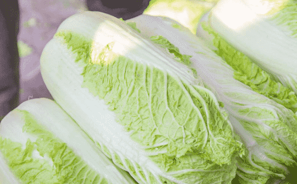 生吃哪些蔬菜更有營養(yǎng)？什么蔬菜不宜生吃？(1)