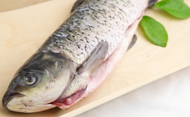 夏季適合吃什么魚(yú)？夏季吃什么魚(yú)更養(yǎng)生？(1)