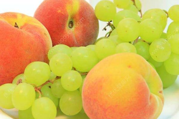 需要熬夜吃什么？“夜貓子”調(diào)校飲食生物鐘全攻略(1)