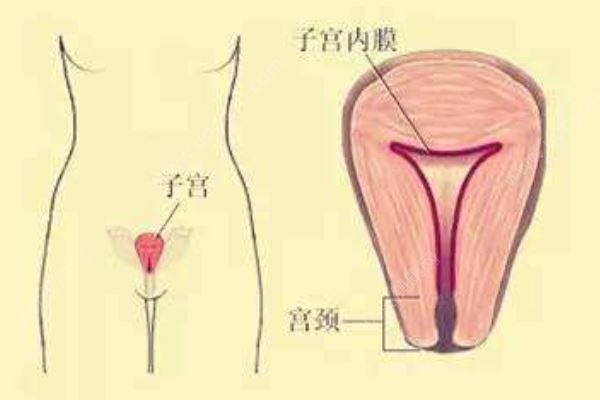 醫(yī)生擅自切除子宮，女患者術(shù)后1個(gè)月才發(fā)現(xiàn)，子宮切除后的危害(4)