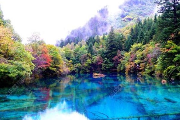 九寨溝景區(qū)暫時(shí)關(guān)閉怎么回事？ 如何退票？(3)