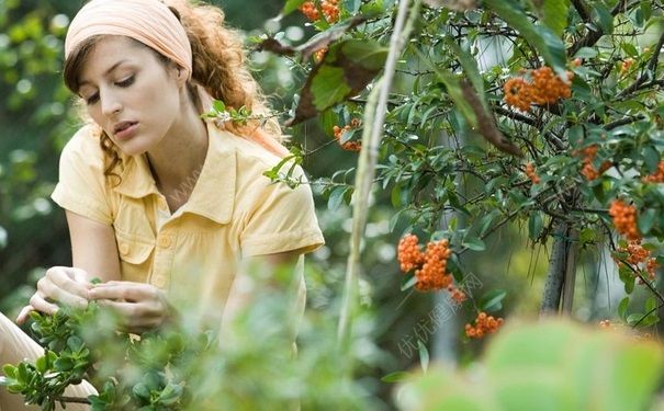 更年期月經(jīng)有什么變化？更年期女性如何護(hù)理？(1)
