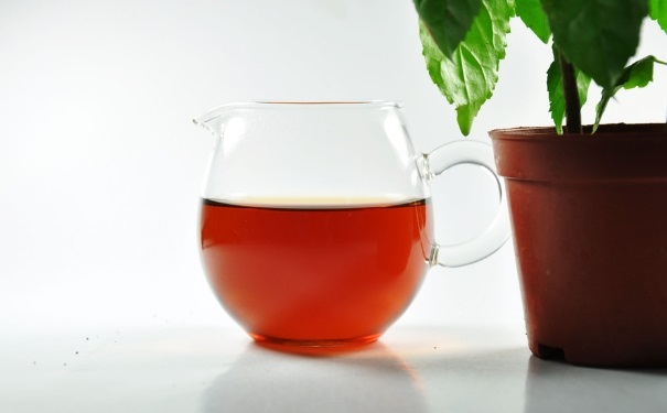抽煙喝什么茶好？經(jīng)常抽煙的人喝什么茶好？(1)