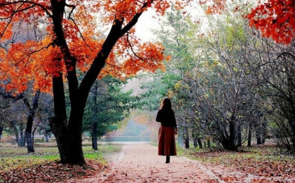 秋季要如何養(yǎng)生？秋季養(yǎng)生須掌握的5個要點(1)