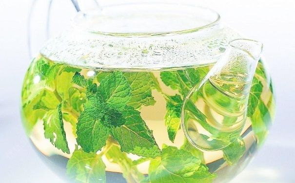 高中生熬夜喝什么茶好？高中生熬夜喝什么比較好？(4)