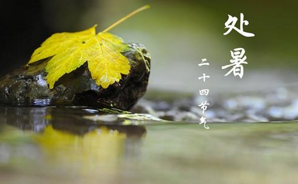 處暑之后還會(huì)不會(huì)熱？處暑后吃什么養(yǎng)生？(1)