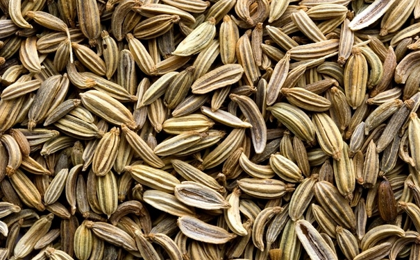 小茴香泡水喝的功效有哪些？小茴香籽泡水有什么作用？(1)