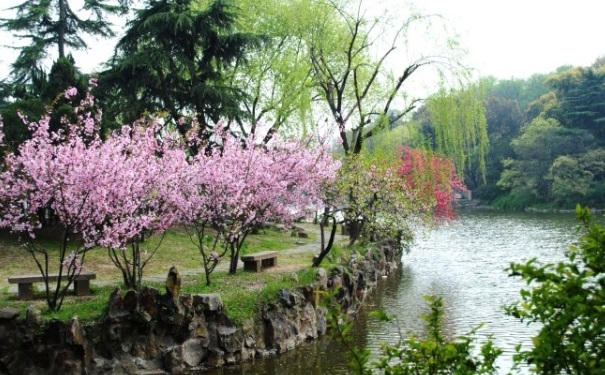 春季養(yǎng)生需要做什么？春季養(yǎng)生有哪些方法？(1)