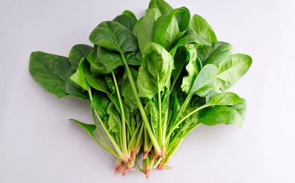 白癜風(fēng)患者可以吃菠菜么？白癜風(fēng)患者的飲食禁忌有哪些？(1)