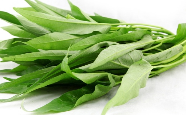 空心菜為什么不能多吃？空心菜吃多了會怎樣？(1)