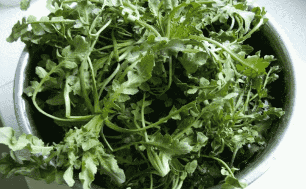 春天吃野菜有什么要注意的？春天吃野菜的注意事項有哪些呢？(1)