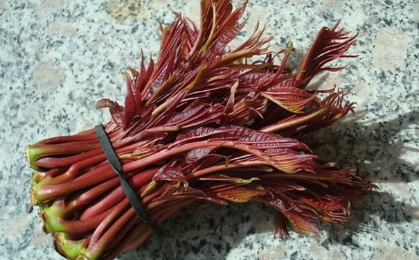 哪些人不能吃香椿？吃香椿有什么注意事項(xiàng)？(1)