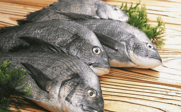 吃魚(yú)對(duì)寶寶的身體有什么好處？寶寶正確吃魚(yú)的方法是什么？(1)