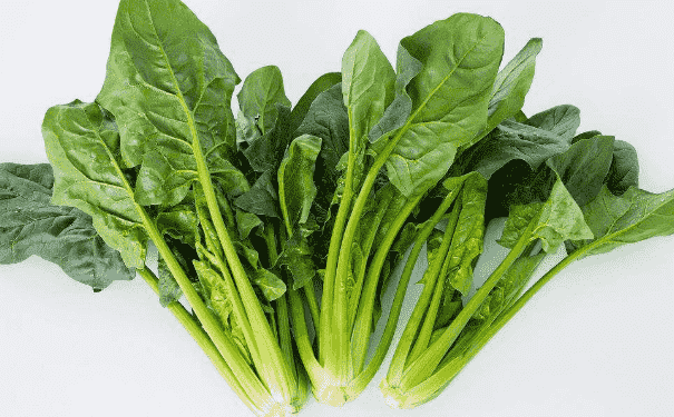 菠菜不宜與哪些食物同吃？菠菜具體的營(yíng)養(yǎng)價(jià)值是什么？(1)