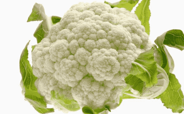 夏季吃哪些蔬菜比較好？夏季吃哪些肉類好？(1)