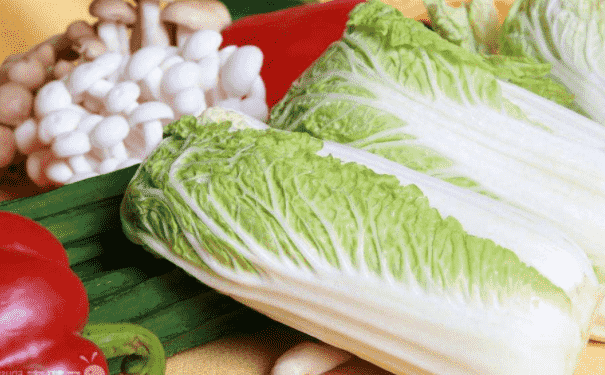 哪些減肥食物能清腸道？清腸道除便秘的減肥食物有哪些？(1)