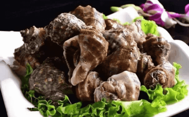 海螺的功效與作用有什么？海螺的食用方法有什么？(1)