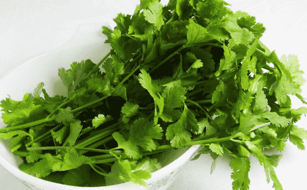常吃香菜對(duì)身體有哪些好處？吃香菜要注意哪些食用禁忌？(1)
