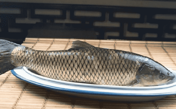 草魚的功效與作用有什么？草魚的營養(yǎng)價值有什么？(1)