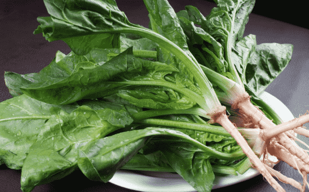 長(zhǎng)時(shí)間用眼如何緩解眼疲勞？常吃哪些食物可以保護(hù)眼睛？(1)