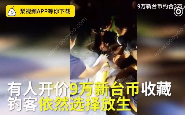 釣到黃金鱸魚，有人出高價也不賣，最后放生了(3)