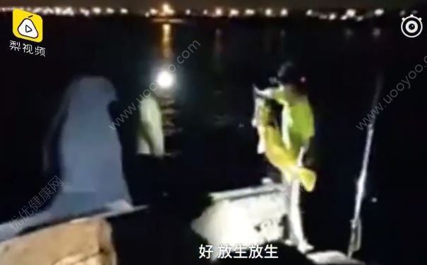 釣到黃金鱸魚，有人出高價也不賣，最后放生了(4)