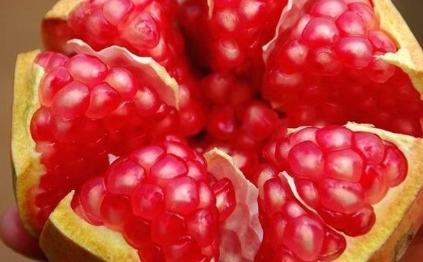 石榴皮的營(yíng)養(yǎng)功效有哪些？石榴皮的食療價(jià)值有哪些？(1)
