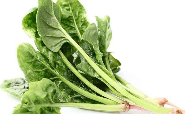 常吃菠菜有哪些好處？菠菜的食用禁忌主要有哪些？(2)