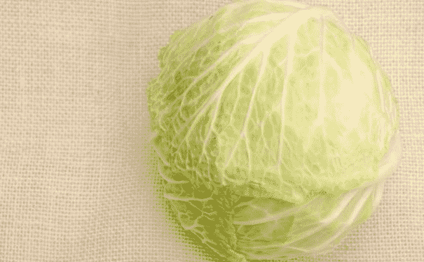常吃圓白菜有哪些好處？干煸圓白菜怎么做？(1)