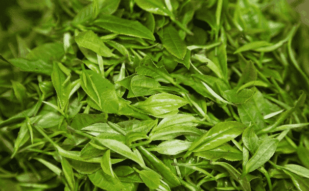 茶葉不能和什么一起吃？喝茶該注意什么？(1)