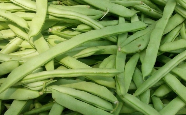 哪些食物會導(dǎo)致食物中毒？吃什么蔬菜要小心中毒？(1)