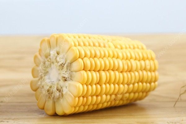 冬季便秘咋辦？這些食物把你緩解冬季便秘！(2)