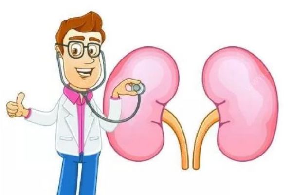 保護(hù)腎臟都有哪些方法？怎樣保持腎臟的健康？(1)
