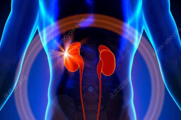 保護(hù)腎臟都有哪些方法？怎樣保持腎臟的健康？(3)