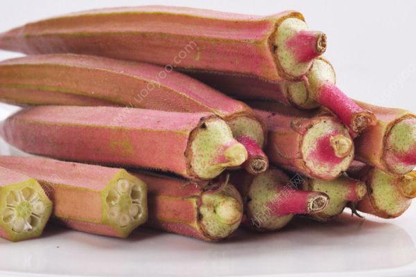 南瓜、苦瓜不降血糖！原來這3種食物不能降血糖(3)