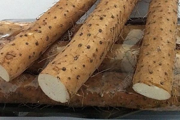 春天祛濕排毒吃什么？這四種食物排毒效果好(1)