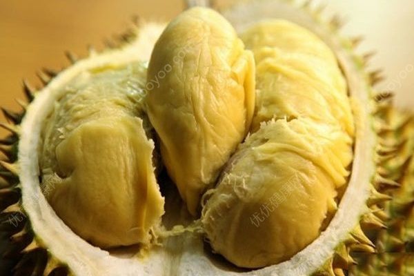 胃不好可以吃榴蓮嗎？胃不好吃榴蓮要注意什么？(2)