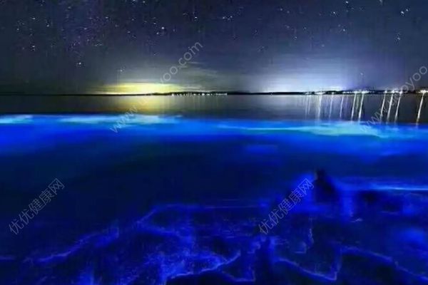 潿洲島再現(xiàn)熒光海灘！會(huì)發(fā)光的到底是什么？(3)