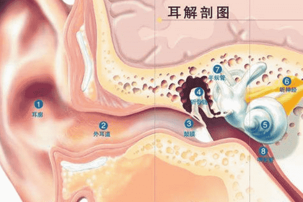 經(jīng)常挖耳屎影響很大！一招解決耳屎煩惱(1)