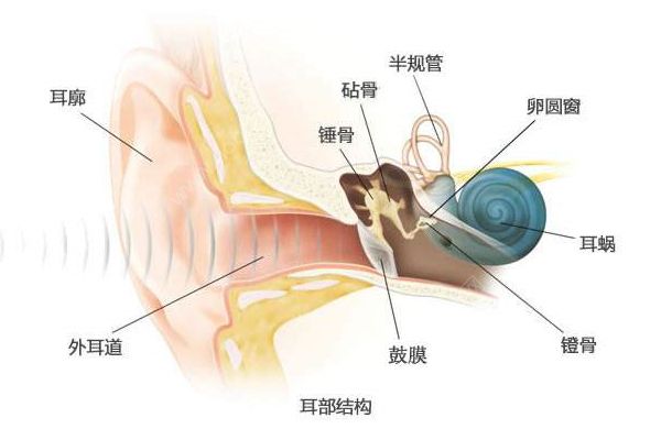 經(jīng)常挖耳屎影響很大！一招解決耳屎煩惱(2)
